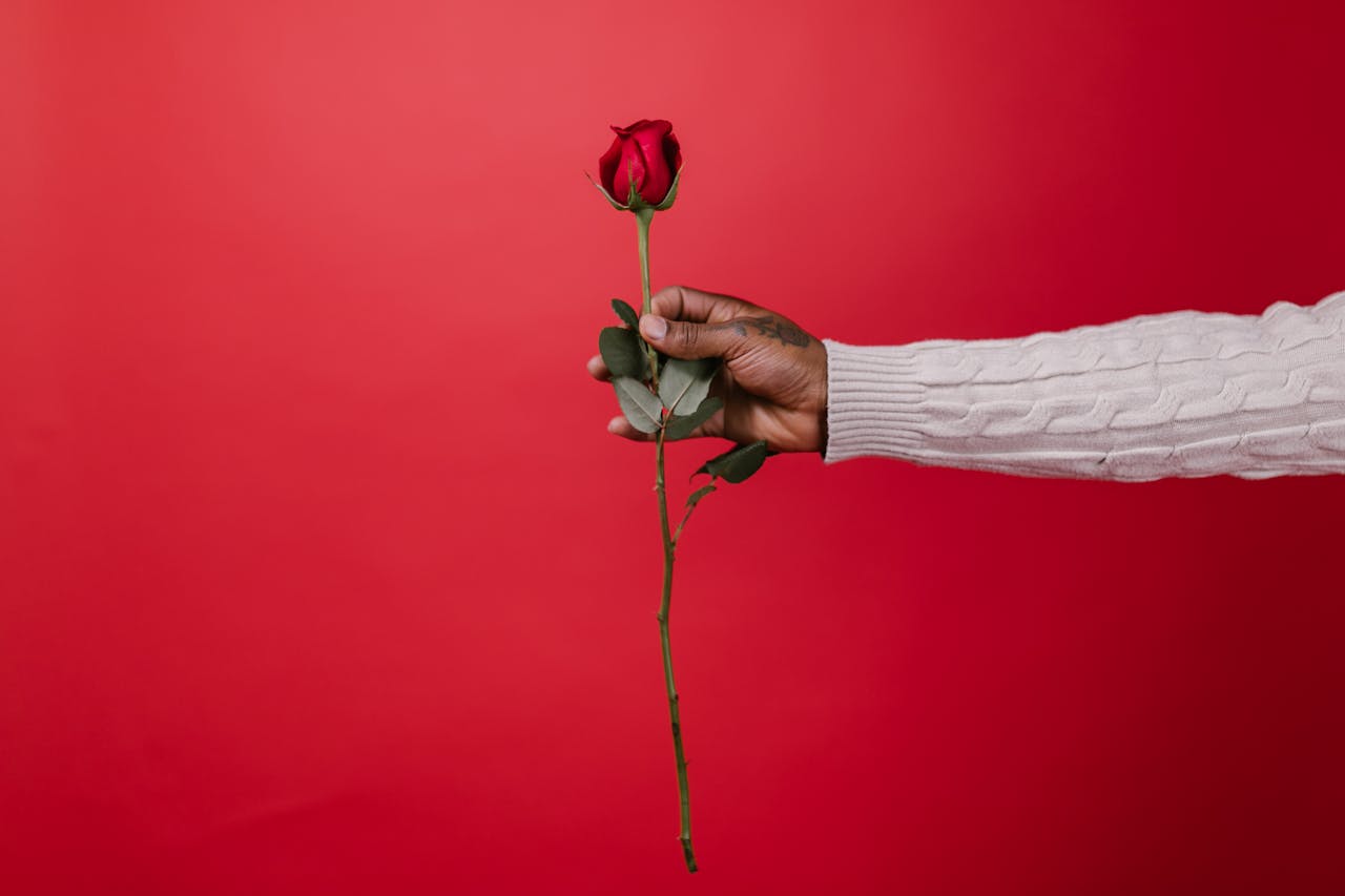 services-06 A hand in a white sweater holds a single red rose against a vibrant red background, symbolizing love.